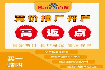 百度竞价排名服务的广告投放技巧与策略